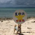カイジ浜の写真_382692