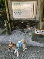 カイジ浜の写真_382693