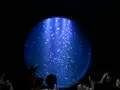 鶴岡市立加茂水族館（クラゲドリーム館）の写真_382924