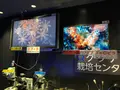 鶴岡市立加茂水族館（クラゲドリーム館）の写真_382925