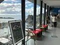 鶴岡市立加茂水族館（クラゲドリーム館）の写真_382929