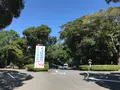 大洗磯前神社の写真_383131