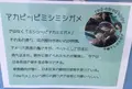 道の駅紀宝町ウミガメ公園の写真_383310