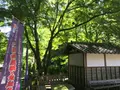 宝城坊日向薬師の写真_383798
