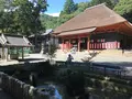 宝城坊日向薬師の写真_383799