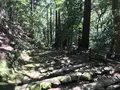 宝城坊日向薬師の写真_383804