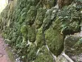 宝城坊日向薬師の写真_383806