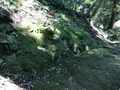 宝城坊日向薬師の写真_383807