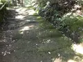 宝城坊日向薬師の写真_383808