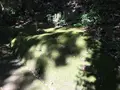 宝城坊日向薬師の写真_383812