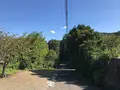 彼岸花の里の写真_383821