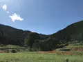 彼岸花の里の写真_383839