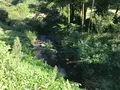 彼岸花の里の写真_383873