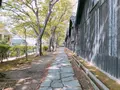 山居倉庫の写真_383954