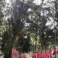 泉神社の写真_384655