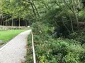 天王森泉公園の写真_384803