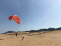 鳥取砂丘パラグライダー体験スクール(砂丘本舗)の写真_385062