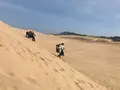 鳥取砂丘パラグライダー体験スクール(砂丘本舗)の写真_385065
