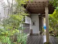竹やぶの写真_385406