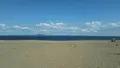 三浦海岸海水浴場の写真_385646