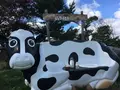 丘のさんぽ道「ジェラート工房 丘のミルジェ」の写真_385841
