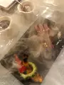 燻製沖縄料理 かびら亭の写真_386069
