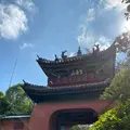 崇福寺の写真_386947