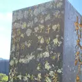 沢村惣之丞の墓（本蓮寺）の写真_387011
