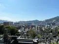 沢村惣之丞の墓（本蓮寺）の写真_387012