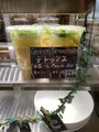 SEA DAYSの写真_387587