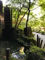 月待の滝の写真_388173