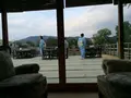 幾松の写真_388777