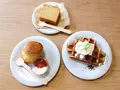 ブルーボトルコーヒー 清澄白河フラッグシップカフェ （旧：清澄白河ロースタリー&カフェ）の写真_389044