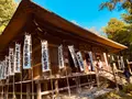 杉本寺の写真_389196