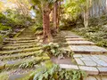 瑞泉寺の写真_389200