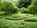 日光田母沢御用邸記念公園の写真_389222