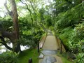 日光山輪王寺 常行堂の写真_389234