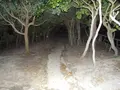 燈明堂跡の写真_38967