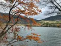 湯ノ湖の写真_389833