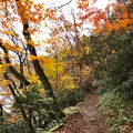 湯ノ湖の写真_389836