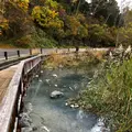湯ノ湖の写真_389840