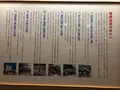 城崎温泉の写真_390039