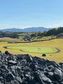 吉井カントリークラブの写真_390309