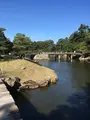 玄宮園の写真_390645