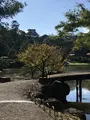 玄宮園の写真_390646