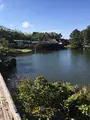 玄宮園の写真_390647