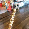 海ほたるパーキングエリアの写真_391026