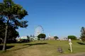 マザー牧場の写真_391063