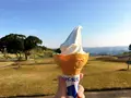 マザー牧場の写真_391093