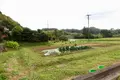一棟貸し古民家の宿【まるがやつ-MARUGAYATSU】の写真_391106